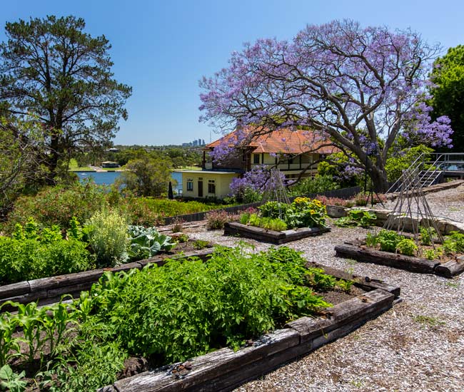 Garden Cockatoo Island Sydney Harbour 650X550