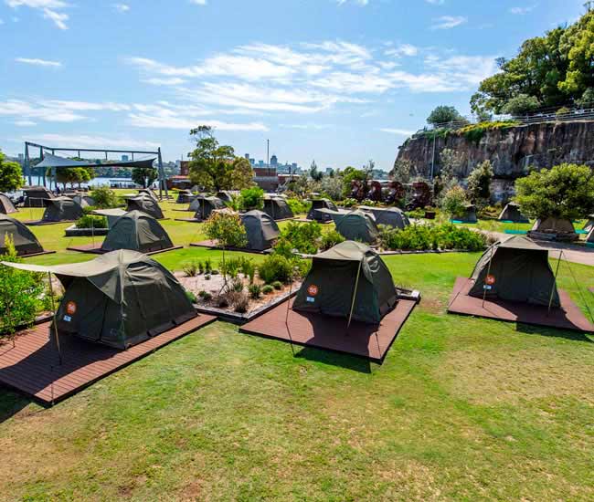 Camping Tents Cockatoo Island Sydney Harbour 650X550