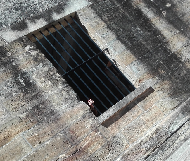 Escape Attempts Single Column 01