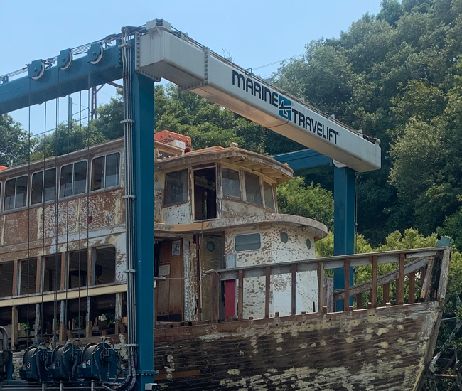 NIRIN HAIVETA IMG 3512 650X550