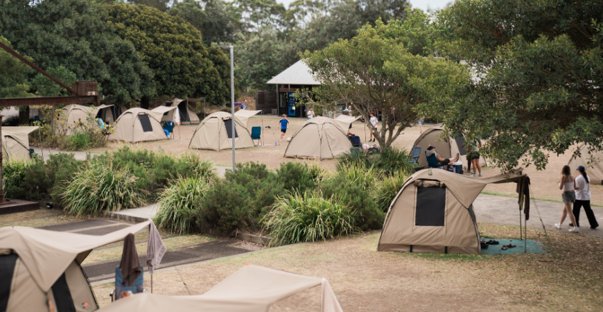 campground-nye-2025_870x450.png